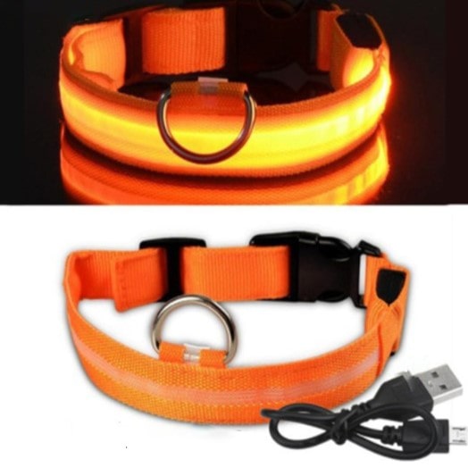 Lysende LED Hundehalsbånd - Doggy Led™