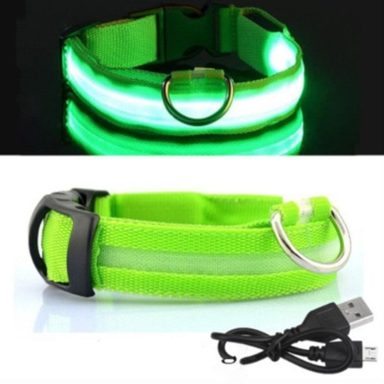 Lysende LED Hundehalsbånd - Doggy Led™