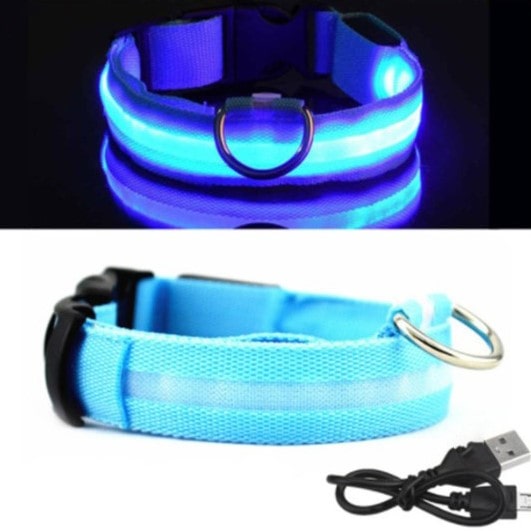 Lysende LED Hundehalsbånd - Doggy Led™