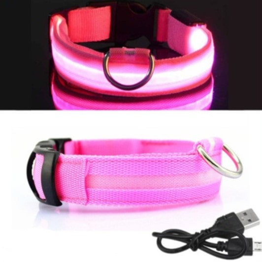 Lysende LED Hundehalsbånd - Doggy Led™