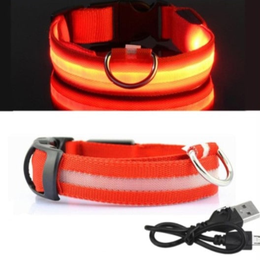 Lysende LED Hundehalsbånd - Doggy Led™