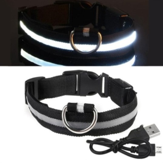 Lysende LED Hundehalsbånd - Doggy Led™