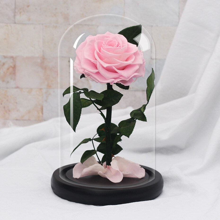 Rose éternelle - Fairy Shadow - Den danske butik