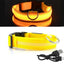 Lysende LED Hundehalsbånd - Doggy Led™