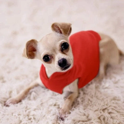 Bløde fleeceklæder til små hunde - DogJacket™