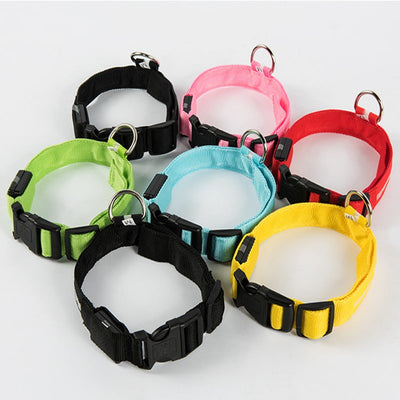 Lysende LED Hundehalsbånd - Doggy Led™