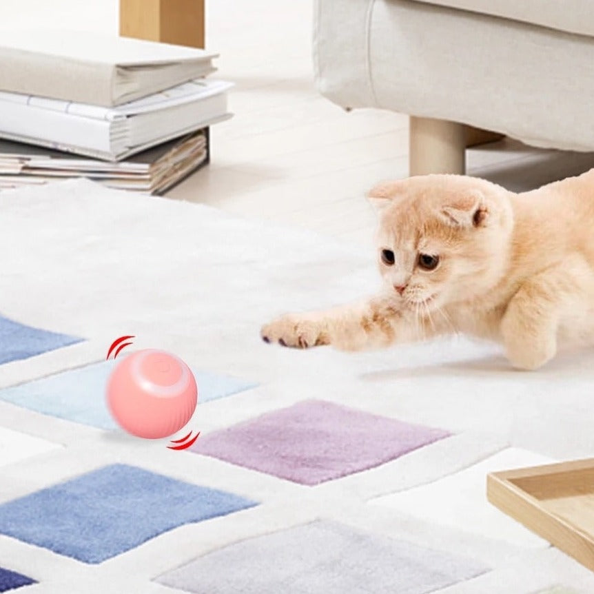 Intelligent legetøj til katte - E-CatBall™