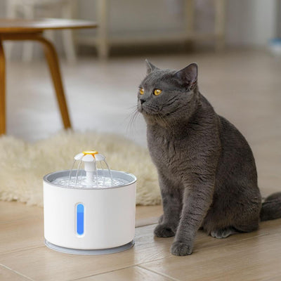 Automatisk vandfontæne til katte med LED-belysning - CDWaterFountain™