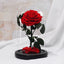 Rose éternelle - Fairy Shadow - Den danske butik