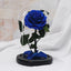 Rose éternelle - Fairy Shadow - Den danske butik