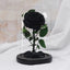 Rose éternelle - Fairy Shadow - Den danske butik